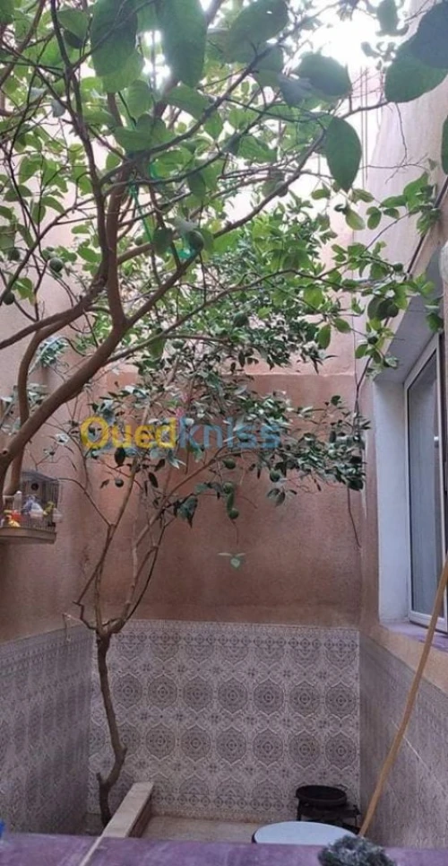 Vente Appartement F2 Laghouat Laghouat