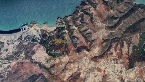 Vente Terrain Tlemcen Marsa ben mhidi