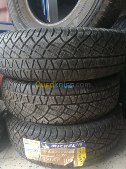 Michelin Bridgestone Goodyear Pirelli