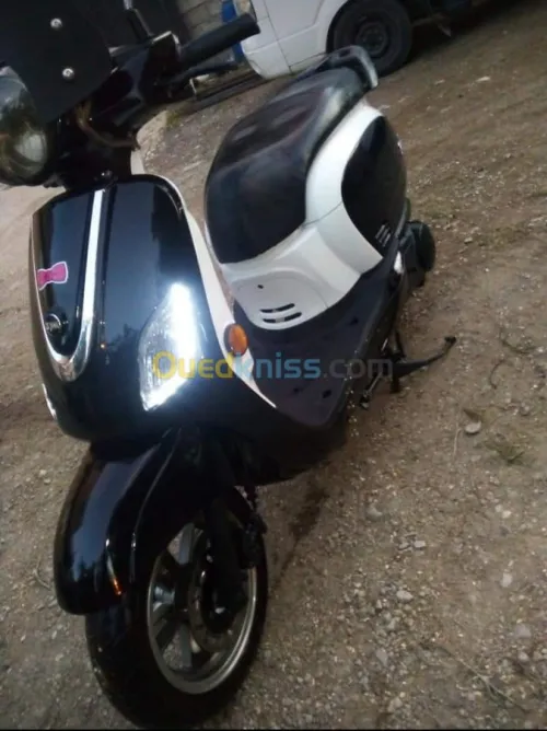 Sym fiddle 3 2018  Fidelle 3