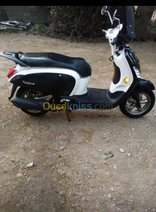 Sym fiddle 3 2018  Fidelle 3