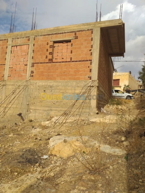 Vente Terrain Relizane Merdja sidi abed