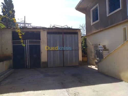 Vente Villa Tlemcen Chetouane