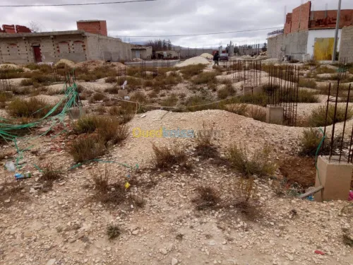 Vente Terrain Tebessa Hammamet
