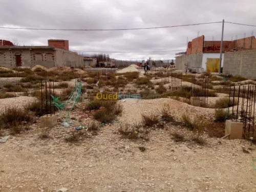Vente Terrain Tebessa Hammamet