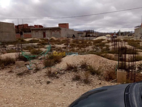 Vente Terrain Tebessa Hammamet