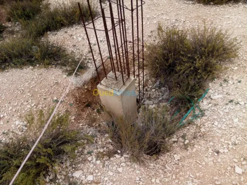 Vente Terrain Tebessa Hammamet