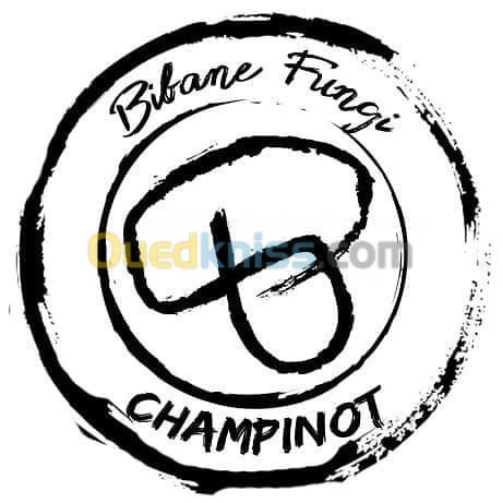 Culture des champignons