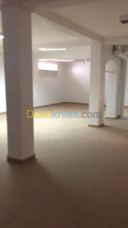 Location Villa Alger El biar