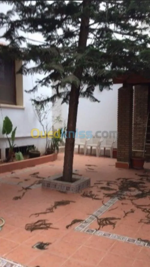 Location Villa Alger El biar