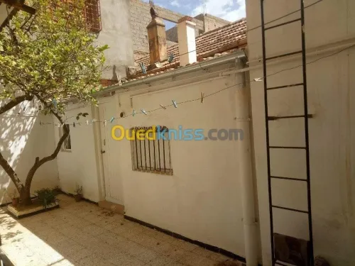 Vente Villa Tlemcen Tlemcen
