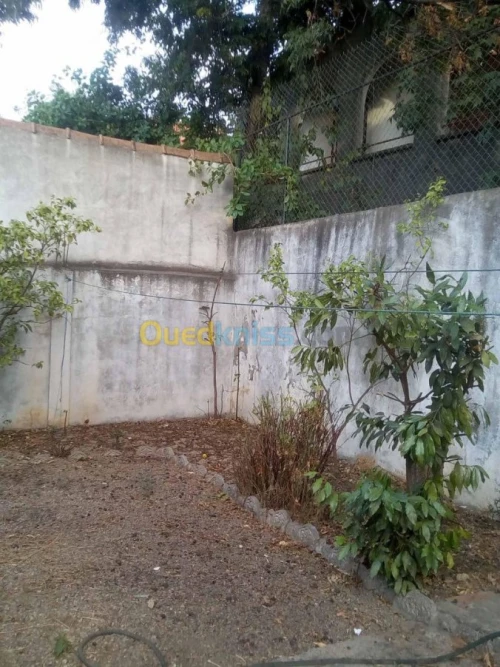 Vente Villa Blida Beni mered