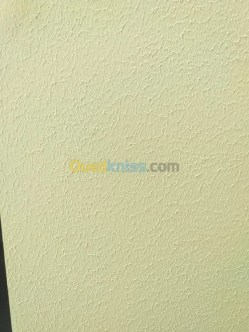 peinture intérieure et extérieure 