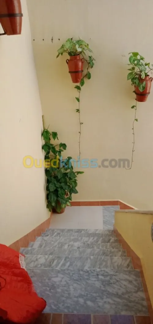 Vente Villa Blida Soumaa