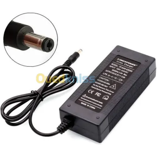 Chargeur 24v/36v/48v/60v