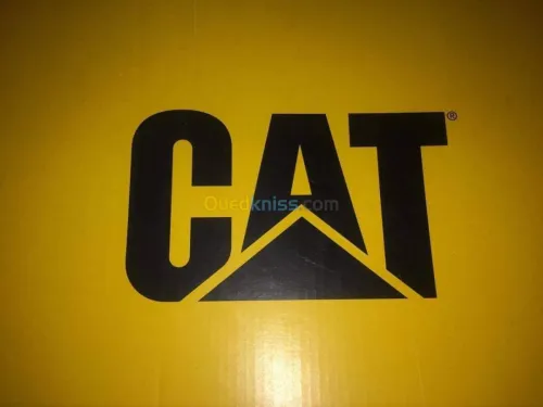 Godasse CATERPILLAR ''CAT'' 45