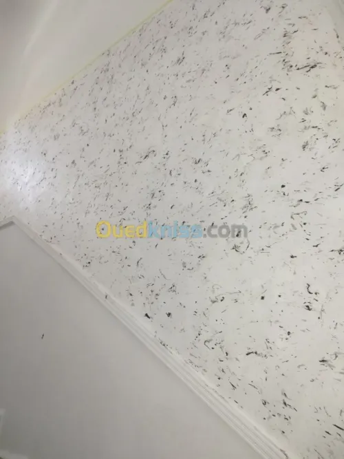 Tout les travaux de plako plâtre b13 p
