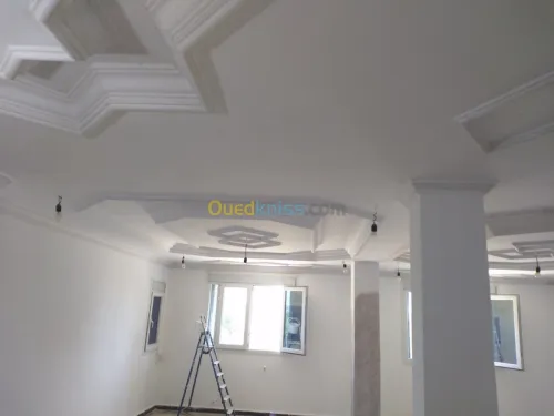 Tout les travaux de plako plâtre b13 p