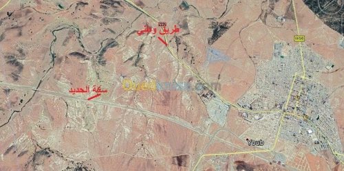 Vente Terrain Saida Youb