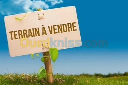 Vente Terrain Tizi ouzou Freha