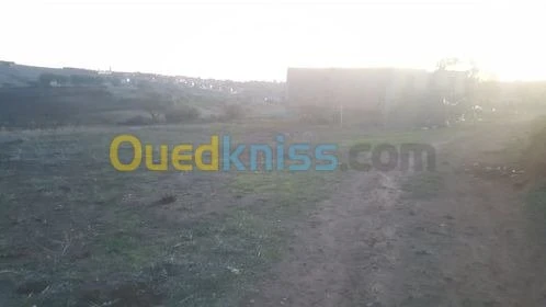 Vente Terrain Relizane Mazouna