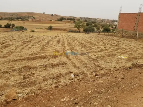 Vente Terrain Relizane Mazouna