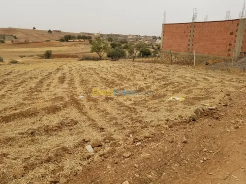 Vente Terrain Relizane Mazouna