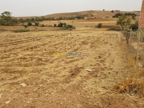 Vente Terrain Relizane Mazouna