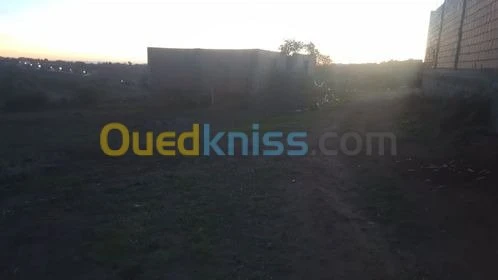 Vente Terrain Relizane Mazouna