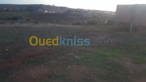 Vente Terrain Relizane Mazouna