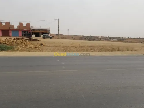 Vente Terrain Relizane Mazouna