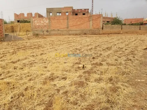 Vente Terrain Relizane Mazouna