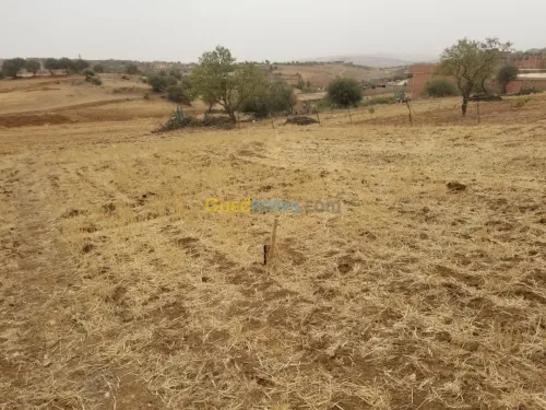 Vente Terrain Relizane Mazouna