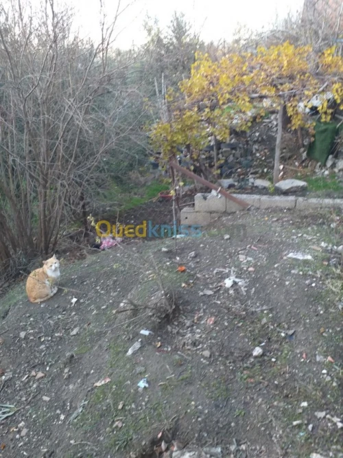 Vente Villa Setif Amoucha