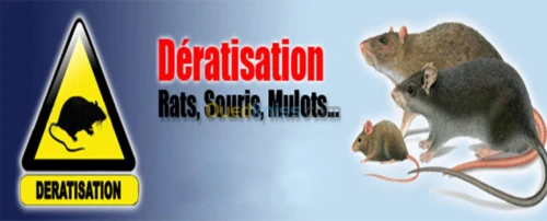 Désinfection dératisation 3D