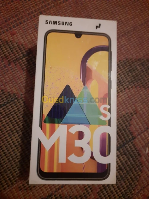 Samsung M30s