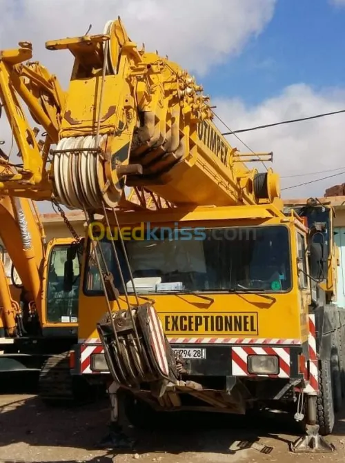 À vendre LIEBHERR   70T