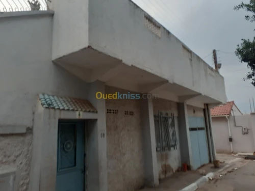 Vente Niveau De Villa F7 Chlef Chlef