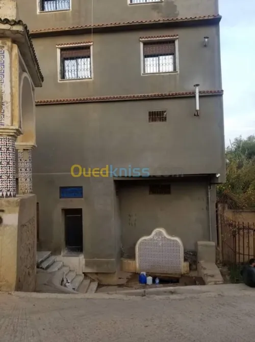 Vente Villa Ain defla Miliana