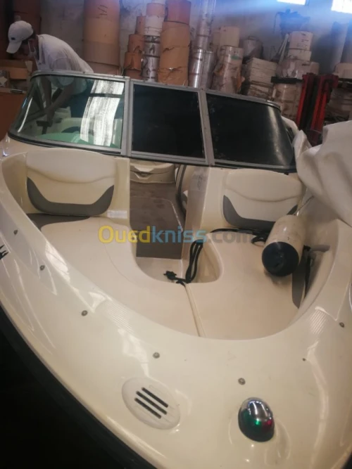 Bayliner 180 cv
