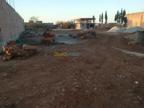 Vente Terrain Tlemcen Chetouane