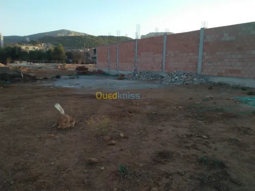 Vente Terrain Tlemcen Chetouane