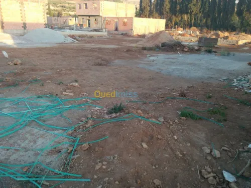 Vente Terrain Tlemcen Chetouane