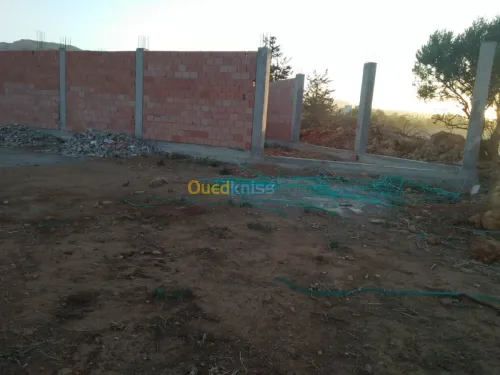Vente Terrain Tlemcen Chetouane