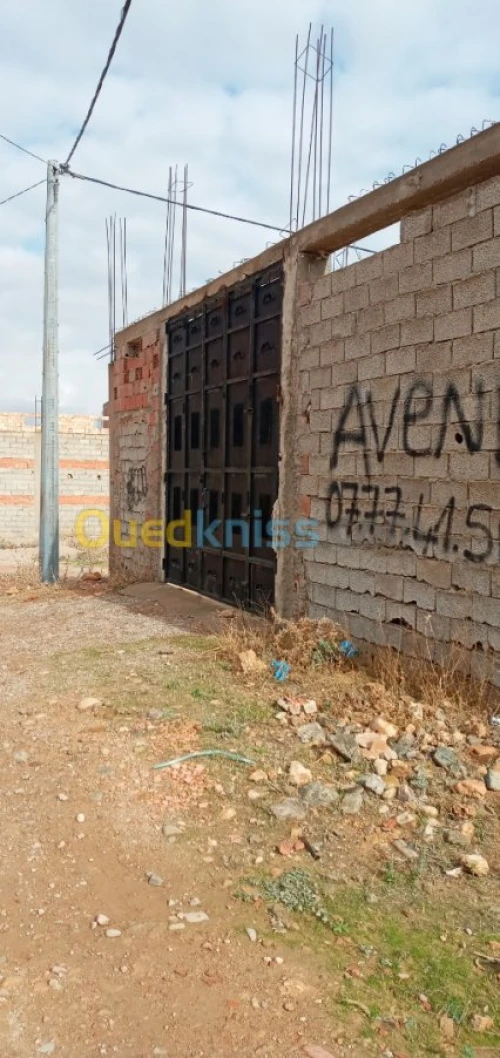 Vente Terrain Tlemcen Maghnia
