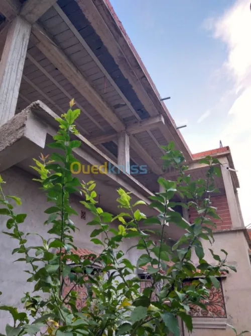 Vente Carcasse Blida Blida