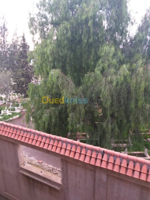 Vente Carcasse Blida Blida