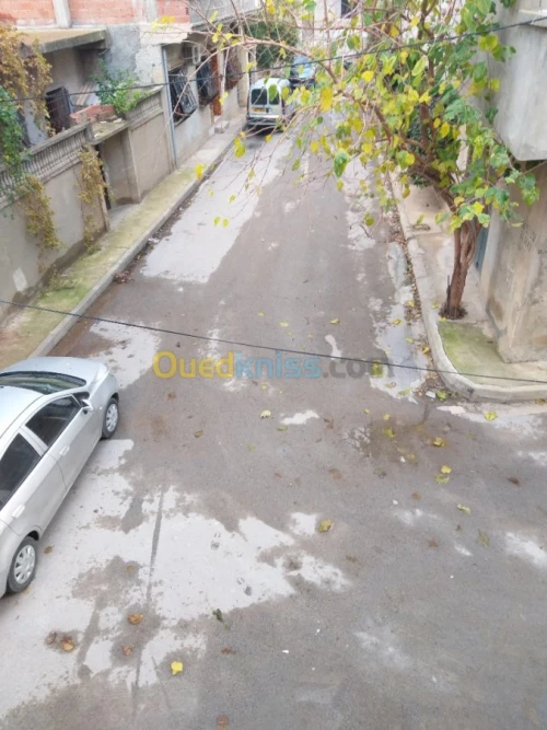 Vente Carcasse Blida Blida