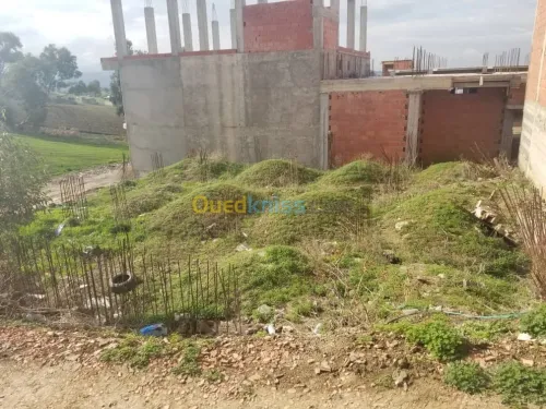 Vente Terrain Boumerdes Larbatache