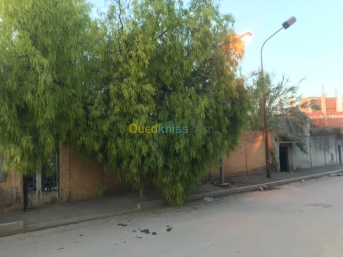 Vente Terrain Chlef Chlef